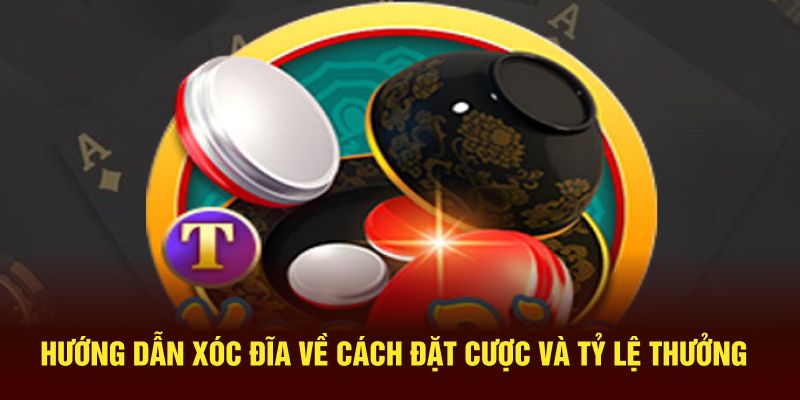 Hướng dẫn xóc đĩa về cách đặt cược và tỷ lệ thưởng